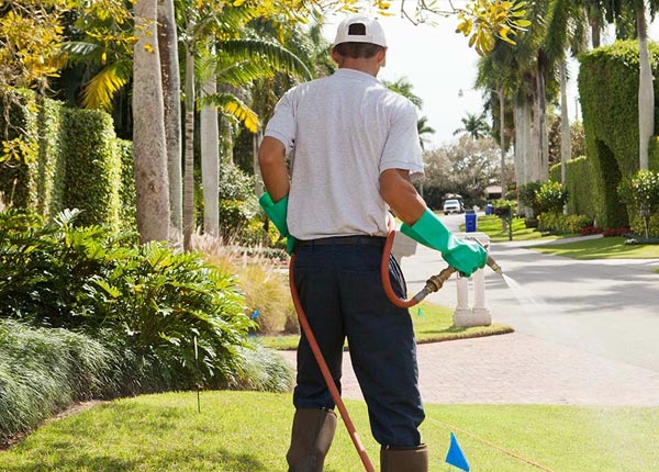About Wallace CA Pest Control